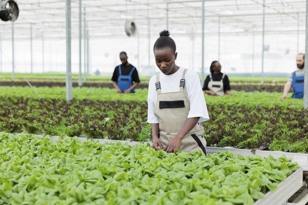 Quelle est la meilleure méthode pour retirer le vernis gel à la maison?