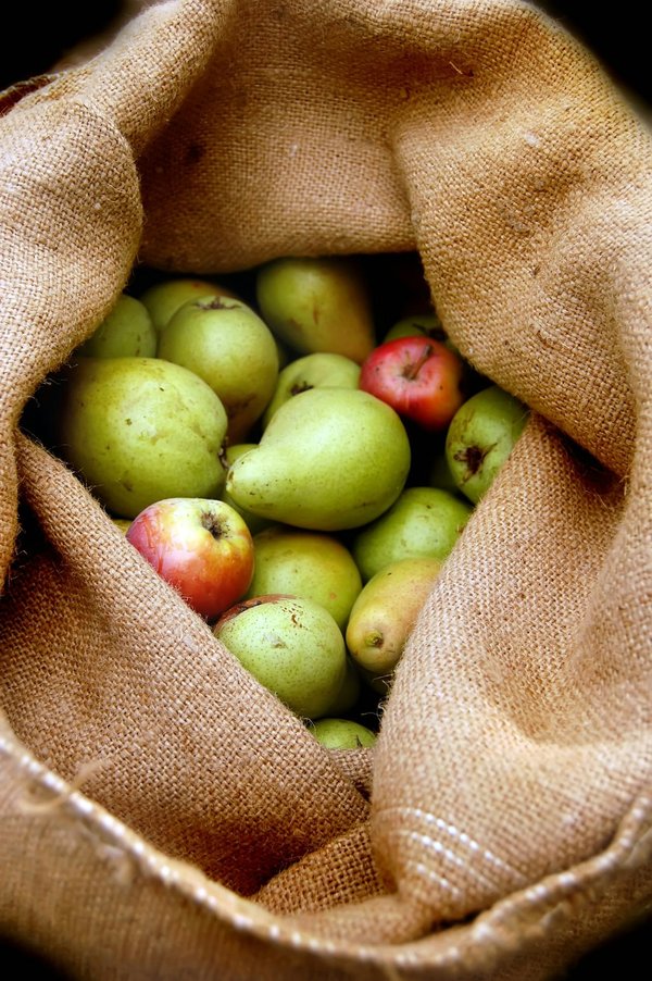 Quels types de collations sont recommandés pour les femmes suivant un régime à faible indice glycémique?